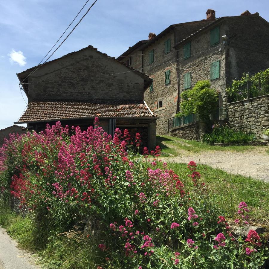 דירות פרטוווקיו Castello Di Urbech מראה חיצוני תמונה